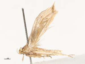  ( - CBG-B00185-B11)  @11 [ ] CreativeCommons - Attribution Share - Alike (2025) CBG Photography Group Centre for Biodiversity Genomics