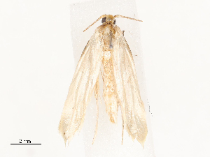  ( - CBG-B00185-E08)  @11 [ ] CreativeCommons - Attribution Share - Alike (2025) CBG Photography Group Centre for Biodiversity Genomics