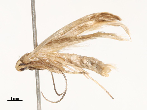  ( - CBG-B00185-E10)  @11 [ ] CreativeCommons - Attribution Share - Alike (2025) CBG Photography Group Centre for Biodiversity Genomics