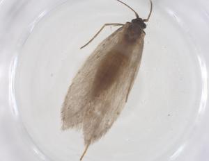  ( - CBG-B01868-B07)  @11 [ ] CreativeCommons - Attribution Share - Alike (2025) Centre for Biodiversity Genomics Centre for Biodiversity Genomics