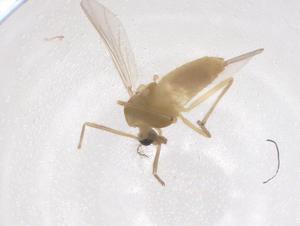  ( - CBG-B01944-E02)  @11 [ ] CreativeCommons - Attribution Share - Alike (2025) Centre for Biodiversity Genomics Centre for Biodiversity Genomics