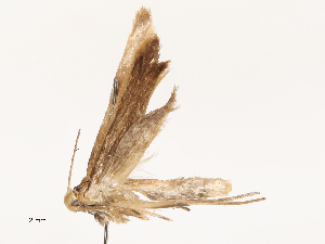  ( - CBG-B04800-G09)  @11 [ ] CreativeCommons - Attribution Share - Alike (2025) CBG Photography Group Centre for Biodiversity Genomics