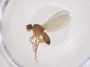  ( - CBG-B04832-B11)  @11 [ ] CreativeCommons - Attribution Share - Alike (2025) Centre for Biodiversity Genomics Centre for Biodiversity Genomics