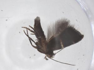  ( - CBG-B05207-D04)  @11 [ ] CreativeCommons - Attribution Share - Alike (2025) Centre for Biodiversity Genomics Centre for Biodiversity Genomics