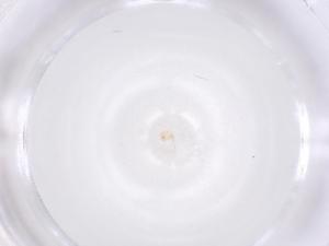  ( - CBG-B01806-B08)  @11 [ ] CreativeCommons - Attribution Share - Alike (2025) Centre for Biodiversity Genomics Centre for Biodiversity Genomics