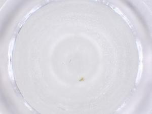  ( - CBG-B01807-C03)  @11 [ ] CreativeCommons - Attribution Share - Alike (2025) Centre for Biodiversity Genomics Centre for Biodiversity Genomics