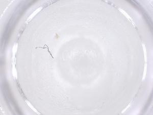  ( - CBG-B01807-G02)  @11 [ ] CreativeCommons - Attribution Share - Alike (2025) Centre for Biodiversity Genomics Centre for Biodiversity Genomics