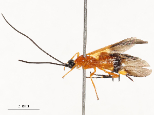  ( - CBG-B02543-C03)  @11 [ ] CreativeCommons - Attribution Share - Alike (2025) CBG Photography Group Centre for Biodiversity Genomics