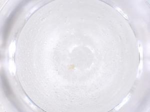  ( - CBG-B02569-G11)  @11 [ ] CreativeCommons - Attribution Share - Alike (2025) Centre for Biodiversity Genomics Centre for Biodiversity Genomics