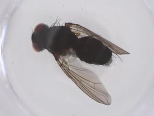  ( - CBG-B02583-C02)  @11 [ ] CreativeCommons - Attribution Share - Alike (2025) Centre for Biodiversity Genomics Centre for Biodiversity Genomics