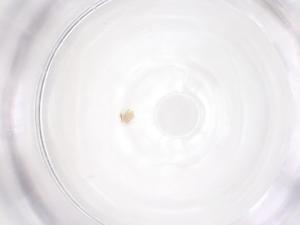  ( - CBG-B02748-H04)  @11 [ ] CreativeCommons - Attribution Share - Alike (2025) Centre for Biodiversity Genomics Centre for Biodiversity Genomics