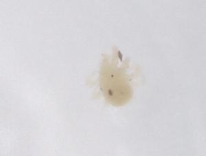  ( - CBG-B02749-A06)  @11 [ ] CreativeCommons - Attribution Share - Alike (2025) Centre for Biodiversity Genomics Centre for Biodiversity Genomics