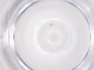  ( - CBG-B02816-G05)  @11 [ ] CreativeCommons - Attribution Share - Alike (2025) Centre for Biodiversity Genomics Centre for Biodiversity Genomics