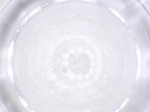  ( - CBG-B03119-F04)  @11 [ ] CreativeCommons - Attribution Share - Alike (2025) Centre for Biodiversity Genomics Centre for Biodiversity Genomics