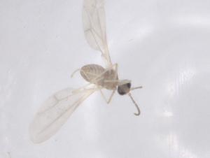  ( - CBG-B03477-E07)  @11 [ ] CreativeCommons - Attribution Share - Alike (2025) Centre for Biodiversity Genomics Centre for Biodiversity Genomics