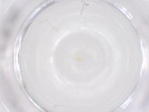  ( - CBG-B22491-D05)  @11 [ ] CreativeCommons - Attribution Share - Alike (2025) Centre for Biodiversity Genomics Centre for Biodiversity Genomics