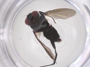  ( - CBG-B22491-H10)  @11 [ ] CreativeCommons - Attribution Share - Alike (2025) Centre for Biodiversity Genomics Centre for Biodiversity Genomics