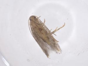  ( - CBG-B00198-B08)  @11 [ ] CreativeCommons - Attribution Share - Alike (2025) Centre for Biodiversity Genomics Centre for Biodiversity Genomics