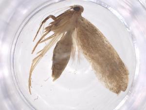  ( - CBG-B00201-H04)  @11 [ ] CreativeCommons - Attribution Share - Alike (2025) Centre for Biodiversity Genomics Centre for Biodiversity Genomics