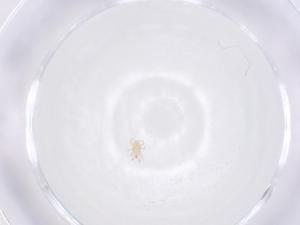  ( - CBG-B04400-D11)  @11 [ ] CreativeCommons - Attribution Share - Alike (2025) Centre for Biodiversity Genomics Centre for Biodiversity Genomics