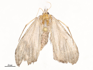  ( - CBG-B19968-D09)  @11 [ ] CreativeCommons - Attribution Share - Alike (2025) CBG Photography Group Centre for Biodiversity Genomics