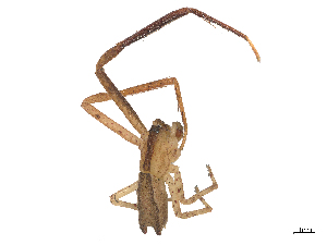  ( - CBG-B19968-H07)  @11 [ ] CreativeCommons - Attribution Share - Alike (2025) CBG Photography Group Centre for Biodiversity Genomics