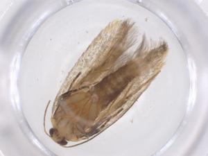  ( - CBG-B20104-E02)  @11 [ ] CreativeCommons - Attribution Share - Alike (2025) Centre for Biodiversity Genomics Centre for Biodiversity Genomics