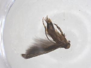  ( - CBG-B21896-E02)  @11 [ ] CreativeCommons - Attribution Share - Alike (2025) Centre for Biodiversity Genomics Centre for Biodiversity Genomics