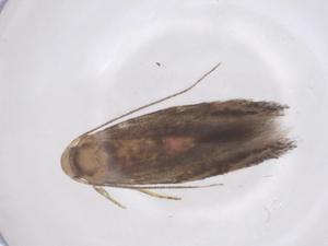  ( - CBG-B22285-E05)  @11 [ ] CreativeCommons - Attribution Share - Alike (2025) Centre for Biodiversity Genomics Centre for Biodiversity Genomics