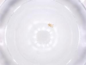  ( - CBG-B22334-C02)  @11 [ ] CreativeCommons - Attribution Share - Alike (2025) Centre for Biodiversity Genomics Centre for Biodiversity Genomics