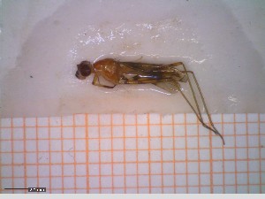  ( - A2_100DD6-3)  @11 [ ] © (2024) Antonia Abels Julius-Maximilians-University Wuerzburg