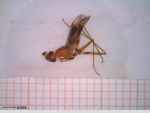  ( - A2_100DM9-3)  @11 [ ] © (2024) Antonia Abels Julius-Maximilians-University Wuerzburg