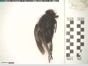  ( - A2_143DM2-2)  @11 [ ] © (2025) Antonia Abels Julius-Maximilians-University Wuerzburg