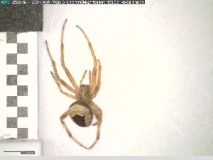  (Neosco - Hesse_7_70)  @11 [ ] c (2024) Kim L. Holzmann Julius-Maximilians-Universität Würzburg