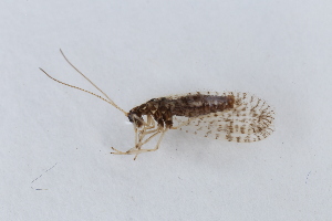  ( - HEM_2)  @11 [ ] Unspecified (default): All Rights Reserved  Unspecified Unspecified