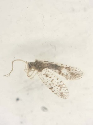  ( - HEM_15)  @11 [ ] Unspecified (default): All Rights Reserved  Unspecified Unspecified