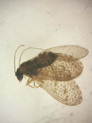  ( - HEM_16)  @11 [ ] Unspecified (default): All Rights Reserved  Unspecified Unspecified