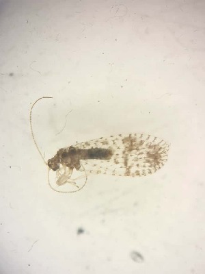  ( - HEM_17)  @11 [ ] Unspecified (default): All Rights Reserved  Unspecified Unspecified