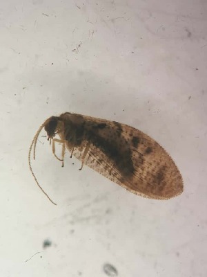  ( - HEM_22)  @11 [ ] Unspecified (default): All Rights Reserved  Unspecified Unspecified