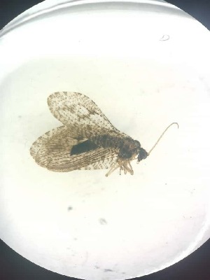  ( - HEM_23)  @11 [ ] Unspecified (default): All Rights Reserved  Unspecified Unspecified