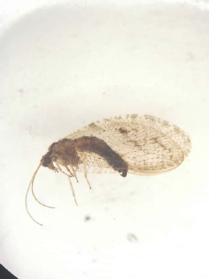  ( - HEM_24)  @11 [ ] Unspecified (default): All Rights Reserved  Unspecified Unspecified