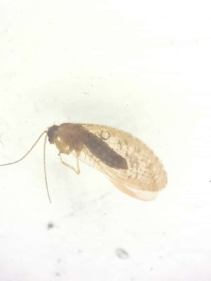  ( - HEM_25)  @11 [ ] Unspecified (default): All Rights Reserved  Unspecified Unspecified