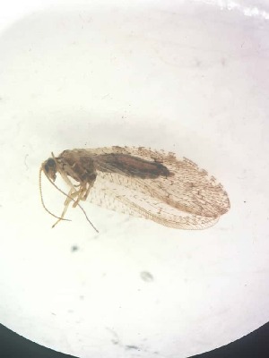  ( - HEM_26)  @11 [ ] Unspecified (default): All Rights Reserved  Unspecified Unspecified