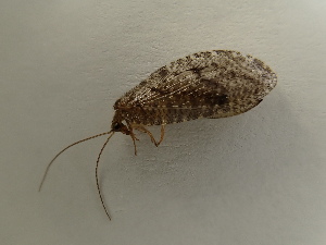  ( - HEM_29)  @11 [ ] Unspecified (default): All Rights Reserved  Unspecified Unspecified