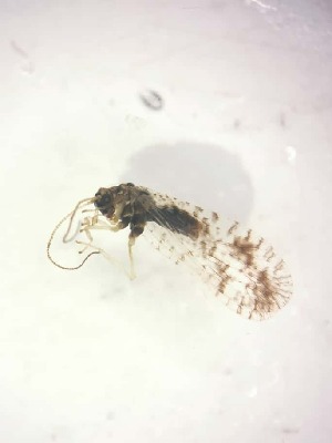  ( - HEM_39)  @11 [ ] Unspecified (default): All Rights Reserved  Unspecified Unspecified