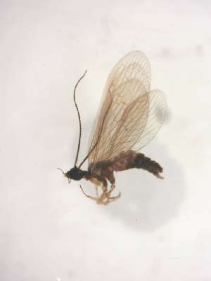  ( - HEM_48)  @11 [ ] Unspecified (default): All Rights Reserved  Unspecified Unspecified