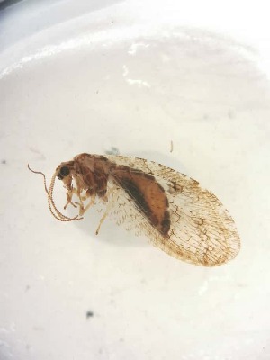  ( - HEM_64)  @11 [ ] Unspecified (default): All Rights Reserved  Unspecified Unspecified