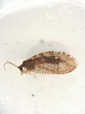  ( - HEM_65)  @11 [ ] Unspecified (default): All Rights Reserved  Unspecified Unspecified