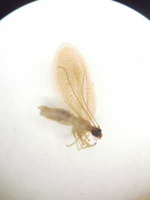  ( - HEM_69)  @11 [ ] Unspecified (default): All Rights Reserved  Unspecified Unspecified