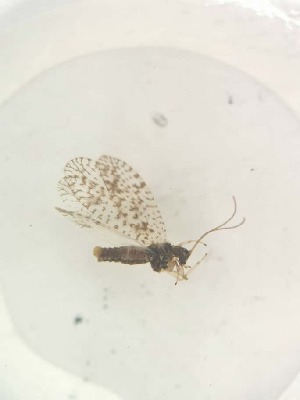  ( - HEM_7)  @11 [ ] Unspecified (default): All Rights Reserved  Unspecified Unspecified